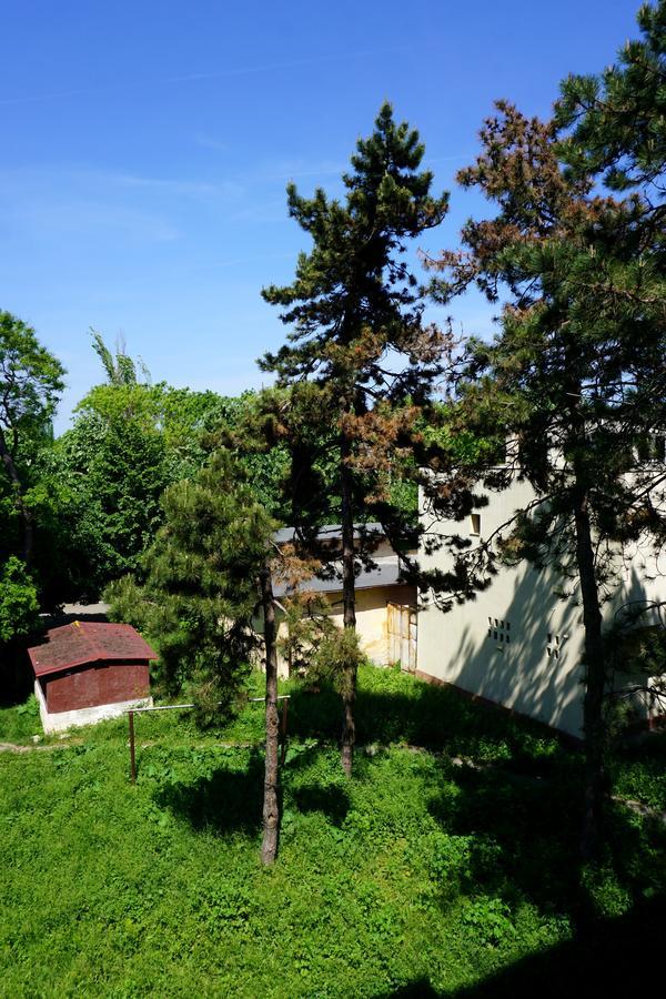 La Alina Appartement Eforie Sud  Buitenkant foto